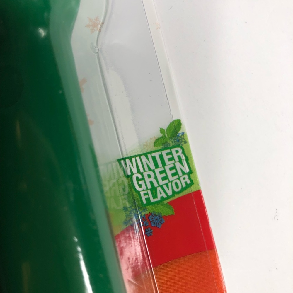 2 Pack Nylabone long lasting chew bones Winter Green, Turkey & Berries Flavor - Picture 7 of 9